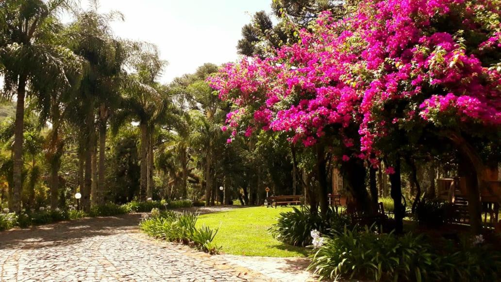 Villa Flor Ecoresort Nova Petropolis Exterior photo